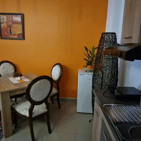 Apartamento Pejovic Ni