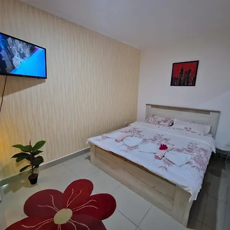 Apartamento Pejovic Ni