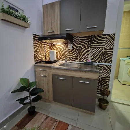 Apartamento Pejovic Ni